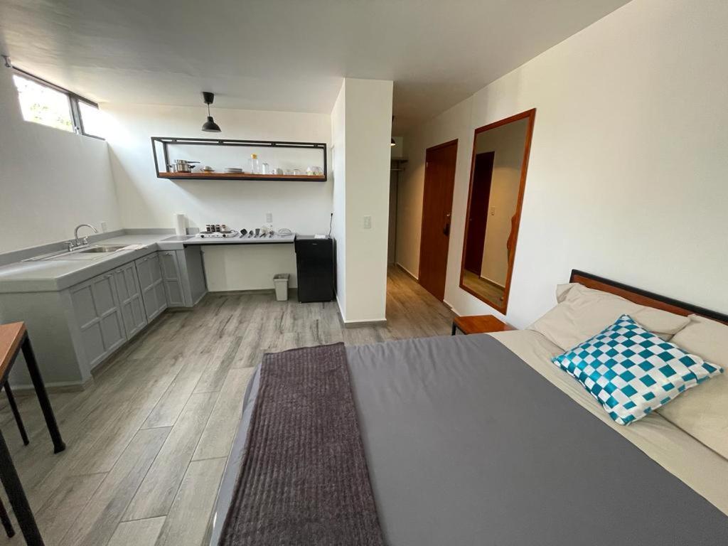 Nice & Cozy Suite In Cdmx, Near Roma,Zocalo 7 Мехико Экстерьер фото