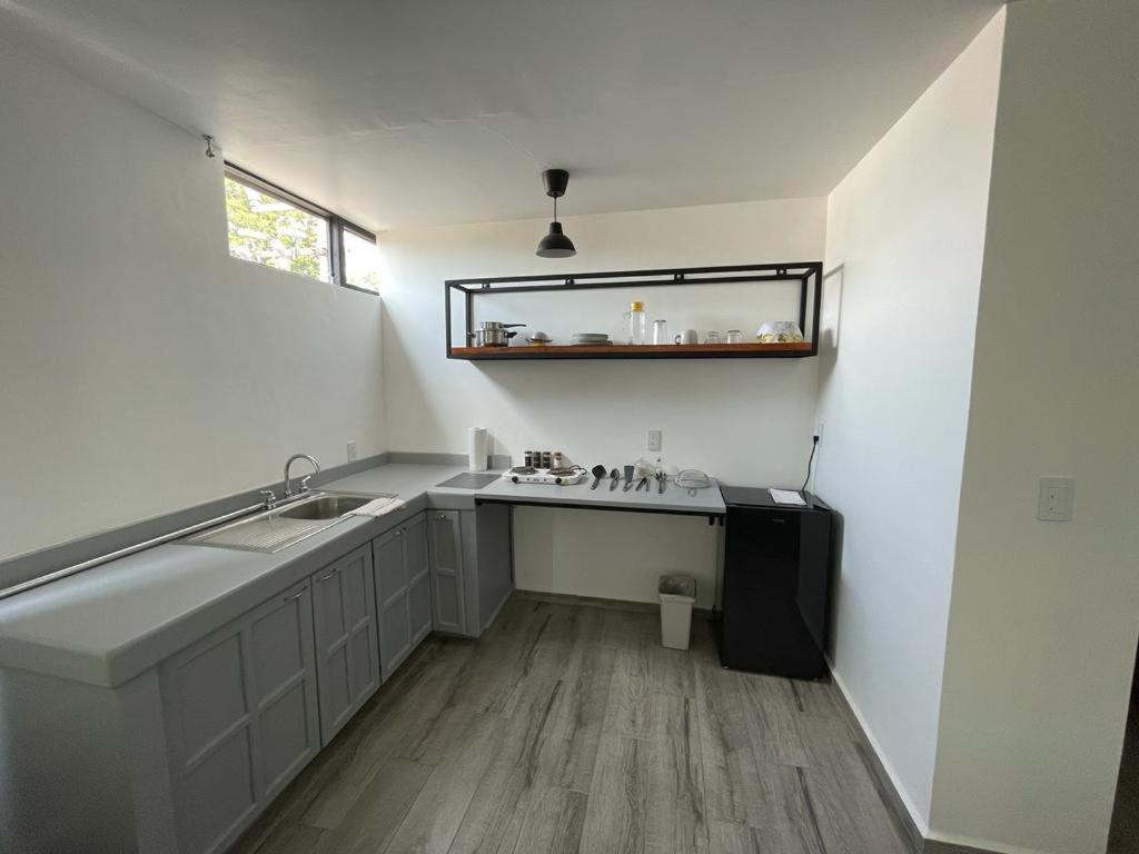 Nice & Cozy Suite In Cdmx, Near Roma,Zocalo 7 Мехико Экстерьер фото